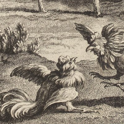The partridge and the roosters (La Fontaine, Desaint et Saillant, 1755) - Oudry