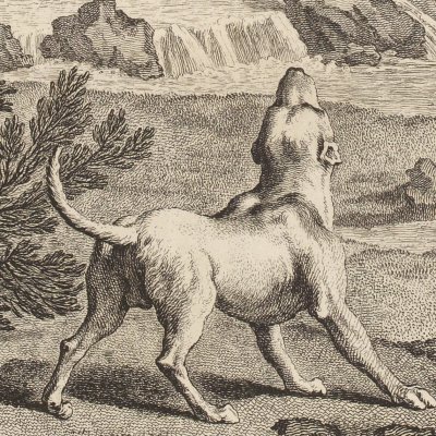 Le chien à qui on a coupé les… (La Fontaine, Desaint & Saillant, 1755) - Oudry