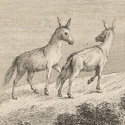 The lion, the monkey & the two donkeys (La Fontaine, Desaint&Saillant, 1755) - Oudry