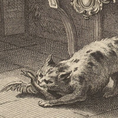 The cat and the two sparrows (La Fontaine, Desaint et Saillant, 1755) - Oudry
