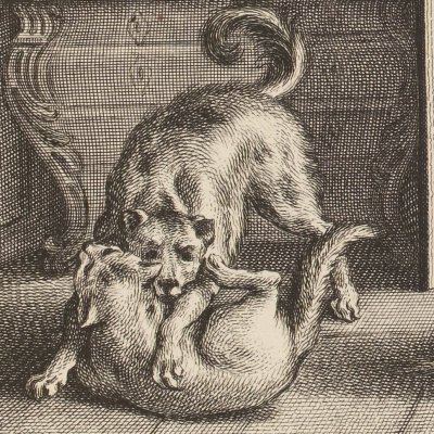 La querelle des chiens & des chats (La Fontaine Desaint & Saillant 1755) - Oudry
