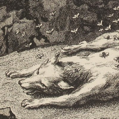 Le renard, les mouches & le hérisson (La Fontaine Desaint&Saillant 1755) - Oudry