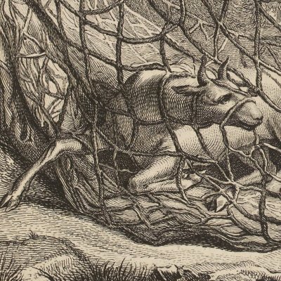 Le corbeau, la gazelle… 2e pl. (La Fontaine, Desaint et Saillant, 1755) - Oudry