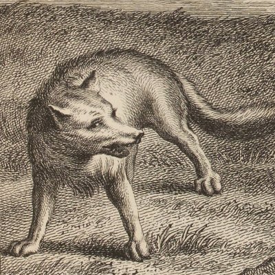 Le renard, le loup et le cheval (La Fontaine, Desaint et Saillant, 1755) - Oudry