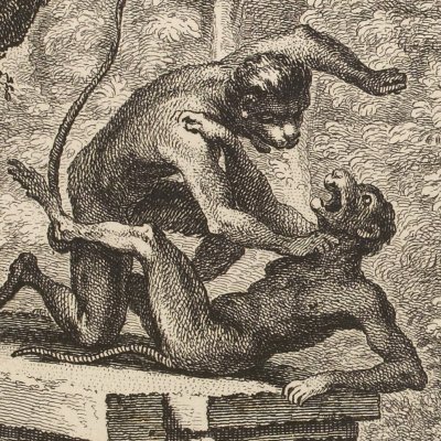 Le singe (La Fontaine, Desaint et Saillant, 1755) - Oudry