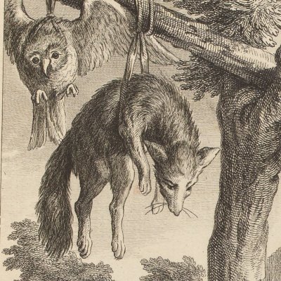 Le renard anglois (La Fontaine, Desaint et Saillant, 1755) - Oudry