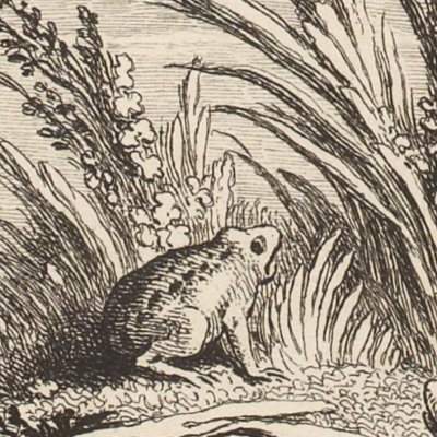 Le soleil & les grenouilles, F. 237 (La Fontaine, Desaint&Saillant 1755) - Oudry