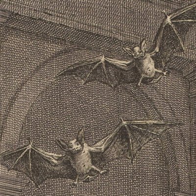Les filles de Minée (La Fontaine, Desaint et Saillant, 1755) - Oudry