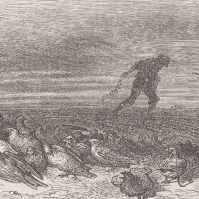 L’hirondelle & les… Vignette (Fables de La Fontaine, Hachette, 1868) - Doré