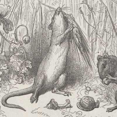 Le rat de ville & le rat… Vignette (Fables de La Fontaine, Hachette 1868) - Doré