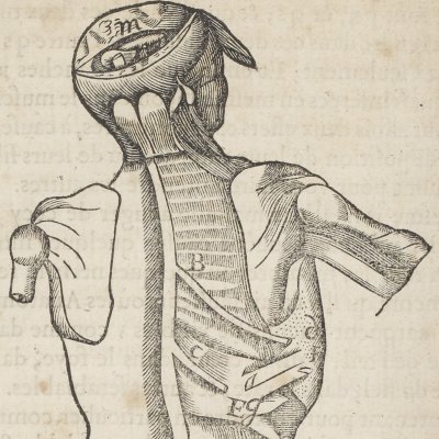 Respiration (Descartes, De l’Homme, 1664)