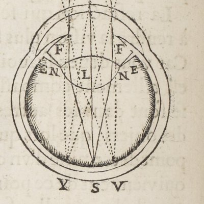 Rayons du regard (Descartes, De l’Homme, 1664)