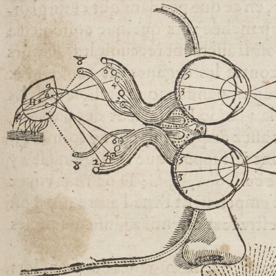 Odorat combiné à la vue (Descartes, De l’Homme, 1664)