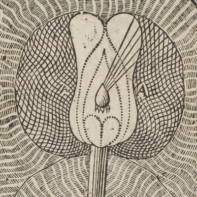 Action des esprits sur la machine (Descartes, De l’Homme, 1664)