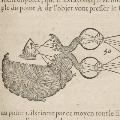 Communication de la vision par l’œil à la glande pinéale (Descartes, De l’Homme, 1664)