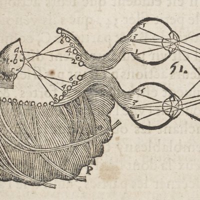 Pomme vue de près (Descartes, De l’Homme, 1664)