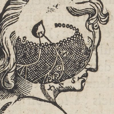 Brûlure de la main (Descartes, De l’Homme, 1664)