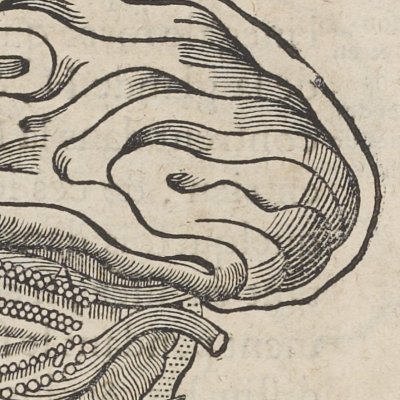 Cerveau en sommeil (Descartes, De l’Homme, 1664)