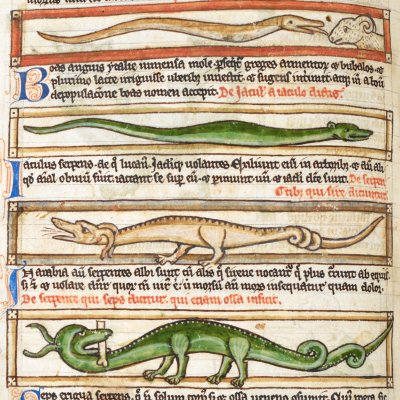 Serpents (Bestiaire Harley 3244, F62v)