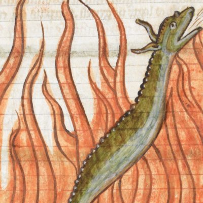 Salamandre, saura, stellio (Bestiaire Harley 3244, F63r)
