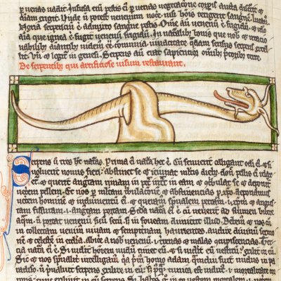 Mue des serpents (Bestiaire Harley 3244, F63v)