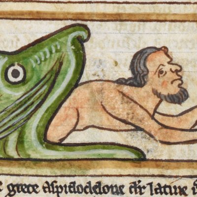 Jonas sortant de la baleine (Bestiaire Harley 3244, F64v)