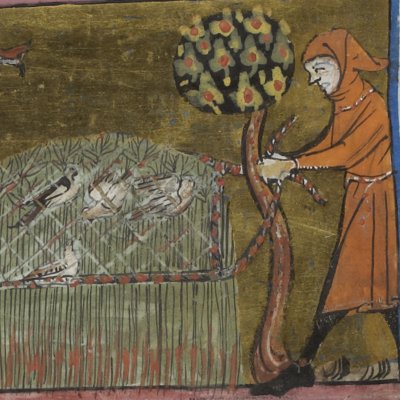 Les oiseaux pris au piège dans le chanvre (Isopet FR15213) - R. de Montbaston