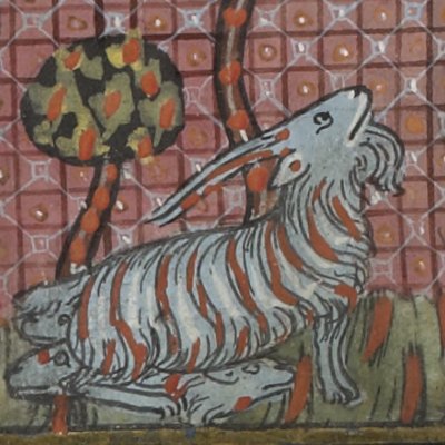 Une chèvre met bas dans le lit d’une autre (Isopet FR15213) - R. de Montbaston