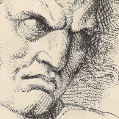 Haine ou jalousie (Expression des passions de l’âme, 1727) - Le Brun