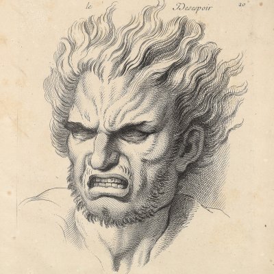 Desespoir (Expression des passions de l’âme, 1727) - Le Brun