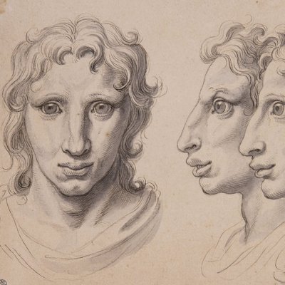 Trois têtes physiognomoniques inspirées par le cheval - Le Brun