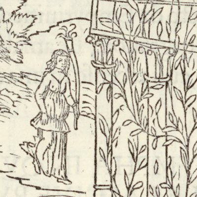La treille de jasmin (Hypnerotomachia 1499, p. 142)