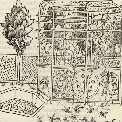 Fontaine et treille du sépulcre d’Adonis (Hypnerotomachia 1499, p. 373)