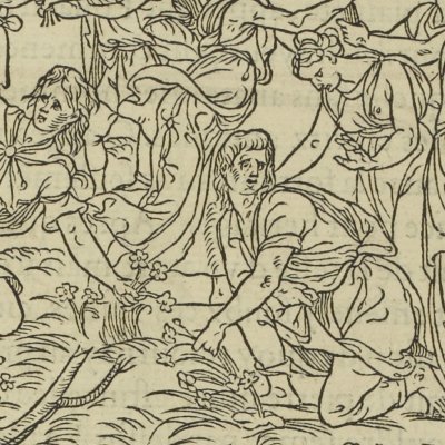 Allégorie de la perte : cueillette (Songe de Poliphile, 1546, F9r) - Jean Goujon