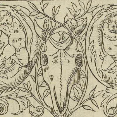 Frise avec tête de bœuf et enfant (Songe de Poliphile, 1546, F32v) - Jean Goujon