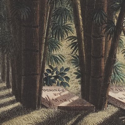Les tombeaux (Paul et Virginie, 1806, version en couleurs)