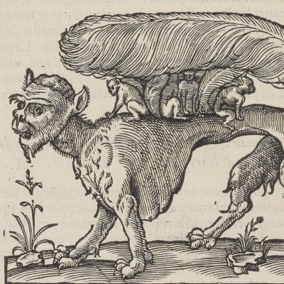 Le succarath (Œuvres d’Ambroise Paré, 1598)