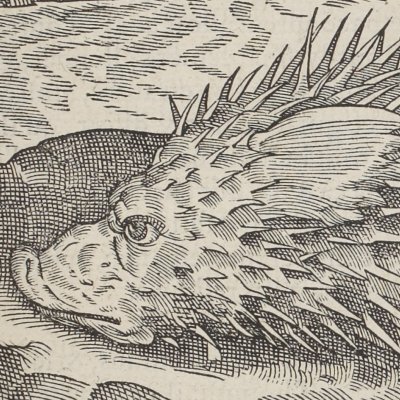 Le hérisson de mer (Œuvres d’Ambroise Paré, 1598)