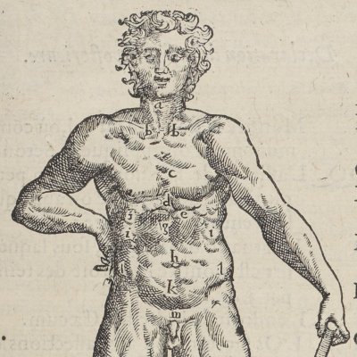 Figure antérieure de l’homme (Œuvres d’Ambroise Paré, 1598)