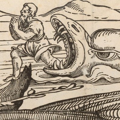 Was siehst du ? (Que vois-tu ?) Jonas et la baleine (Vexierbild) - E. Schön