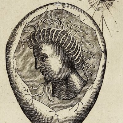 Tête d’homme et cheveux de serpents dans un œuf (F. Licetus, De Monstris, 2,74)