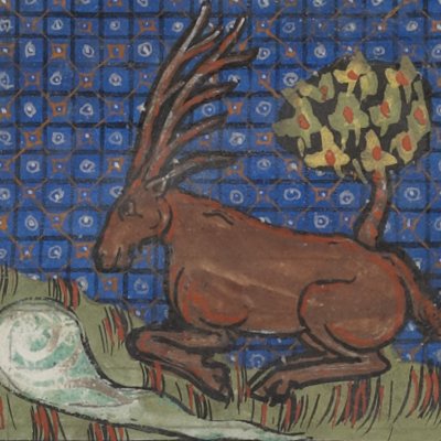 Un cerf qui se mirait est guetté (Isopet FR15213) - R. de Montbaston
