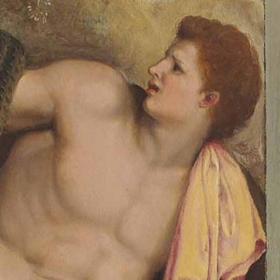 Laocoon - Alessandro Allori