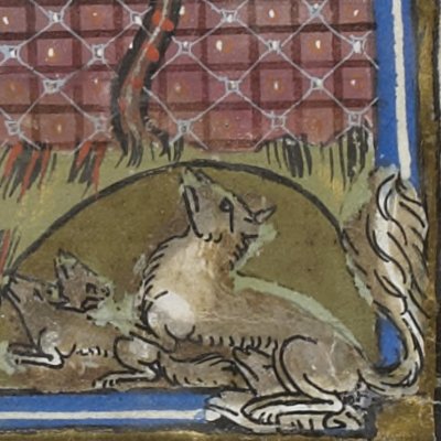 La belette porte ses petits de lieu en autre (Isopet FR15213) - R. de Montbaston