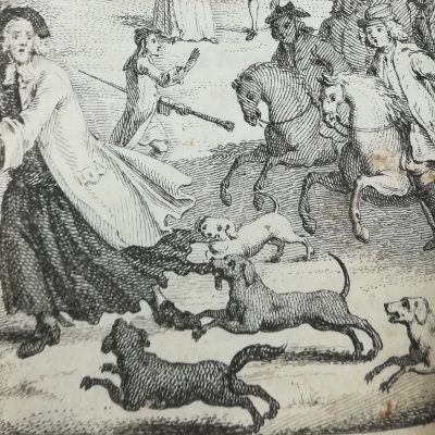 Aventure de la chasse (Joseph Andrew, Millar,1743) - Hulett