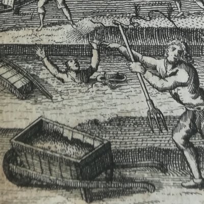 Un jardinier tombe dans un étang… (Betrachtungen des Robinson Crusoe)