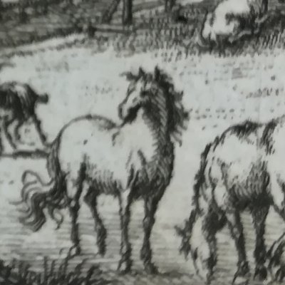 Page de titre du voyage chez les Houyhnhnms (Gulliver, tr. néerl., La Haye 1727)