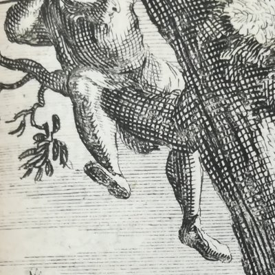 Nouvelle 12. Le veau (100 Nlles Nlles, Cologne, 1701) - De Hooghe