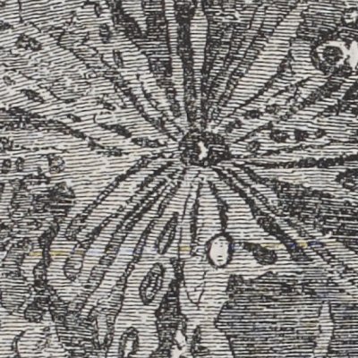 Mouvements de translation de la Lune (De la Terre à la Lune, 1868) - de Montaut
