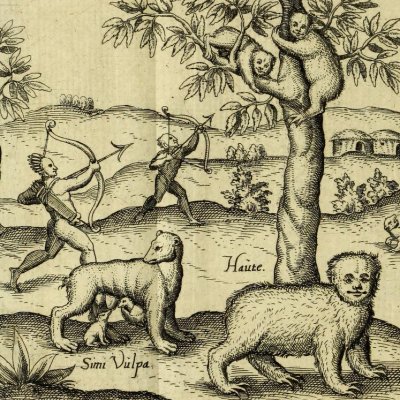 Animaux (Description du royaume de Guyanne, 1599)